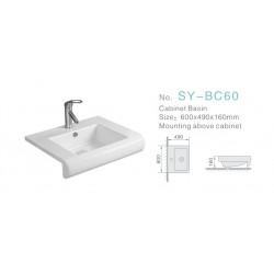 SY-BC60