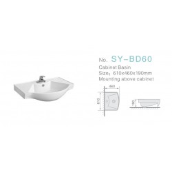 SY-BD60